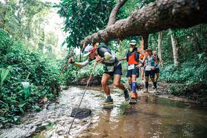 BIB: 
                            <button type="button" onclick="openModal(25368923)" class="btn btn-primary btn-sm float-right btn-popup" data-toggle="modal" data-target=".modal-high-quality">
                        <i class="fas fa-shopping-cart"></i> Add to Cart
                    </button>
                                            <button type="button" onclick="isThisMe(25368923, true)" class="btn btn-success btn-sm float-right btn-popup btn-isme hidden" data-toggle="tooltip" data-placement="bottom" title="นี่คือรูปของคุณใช่ไหม คลิกที่นี่เพื่อเอาเข้าอัลบั้ม">
                        <i class="fas fa-plus"></i> Add to album
                    </button>
                    <button type="button" onclick="isThisMe(25368923, false)" class="btn btn-warning btn-sm float-right btn-popup btn-isnotme hidden">
                        <i class="fas fa-ban"></i> Remove from album
                    </button>